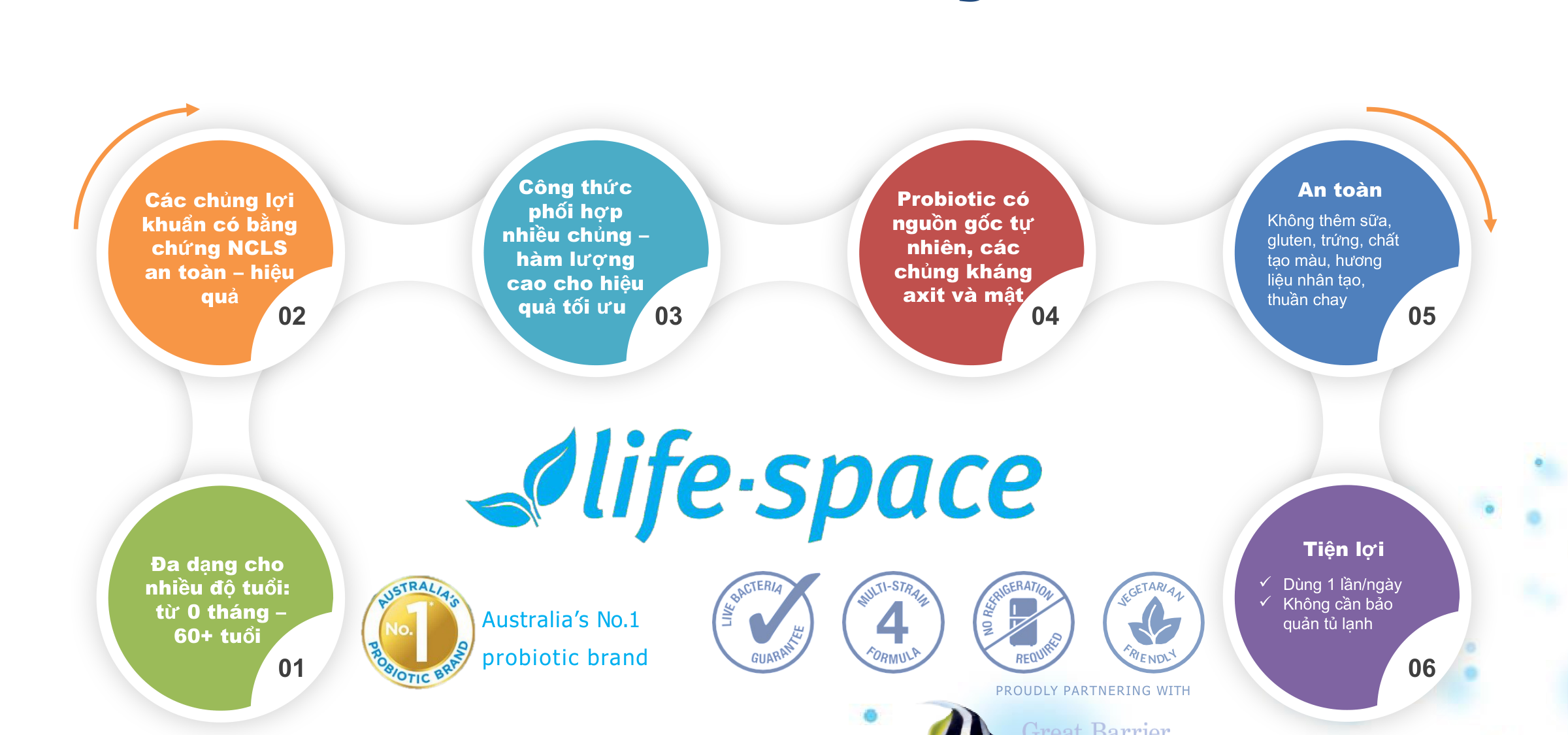 Brand Key Infographic